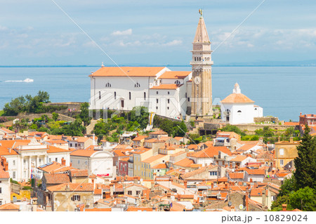Picturesque old town Piran, Slovenia. 10829024