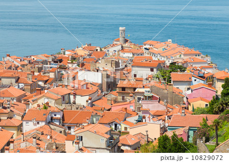 Picturesque old town Piran, Slovenia. 10829072