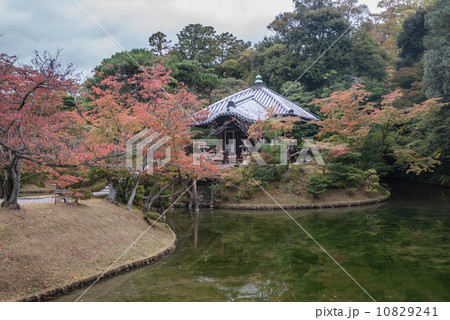 桂離宮 園林堂 桂離宮 園林堂 10829241