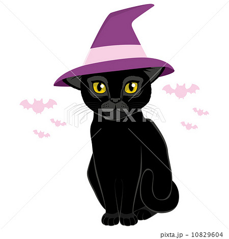 Halloween Witch Hat Black Catのイラスト素材