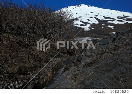 富士山幻の滝 10829620