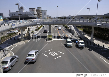 歩道橋からの湘南道路 10829737