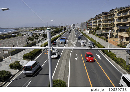 歩道橋からの湘南道路 10829738