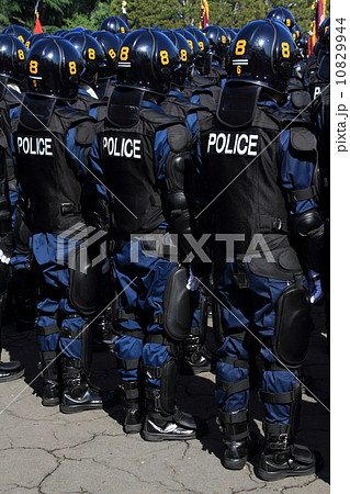 整列する警察官 10829944