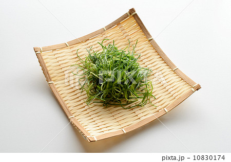 おかひじき 10830174