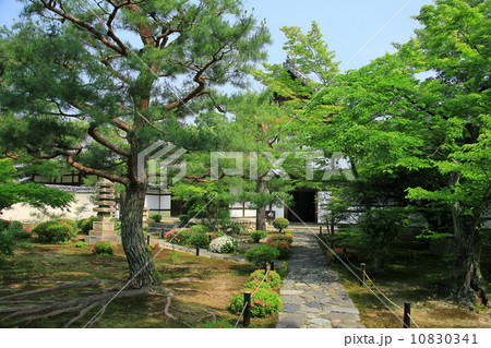 鹿王院 10830341