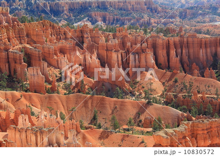 春のブライスキャニオン国立公園 春のブライスキャニオン国立公園 10830572