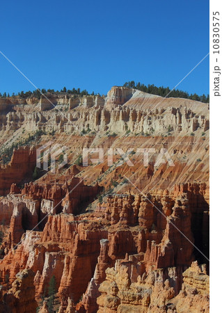 春のブライスキャニオン国立公園 10830575