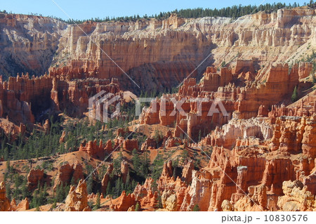 春のブライスキャニオン国立公園 10830576