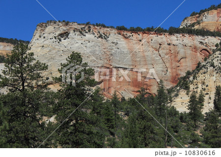 春のザイオン国立公園 春のザイオン国立公園 10830616