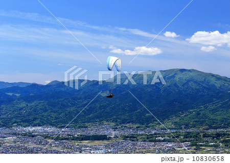 ハングライダー 10830658
