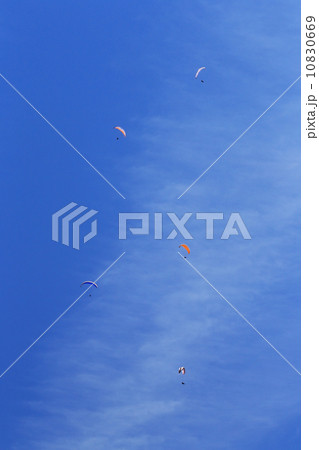 ハングライダー 10830669