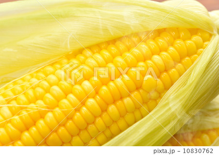 注意)湯気(ゆげ)はレタッチ合成です。ご了承の上ご購入ください。国産浜松産の大粒の朝獲れトウモロコシです。 注意)湯気(ゆげ)はレタッチ合成です。ご了承の上ご購入ください。国産浜松産の大粒の朝獲れトウモロコシです。 10830762