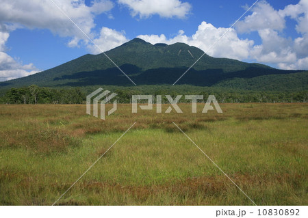 尾瀬ケ原（燧ケ岳） 10830892