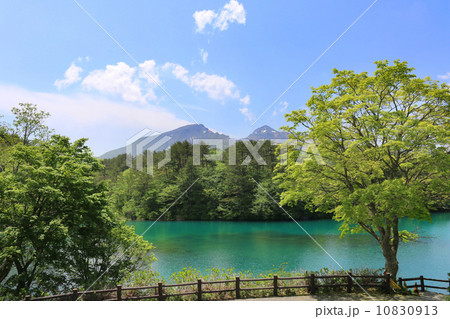 五色沼と磐梯山 10830913