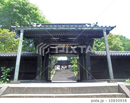 湯島聖堂（入徳門） 10830938
