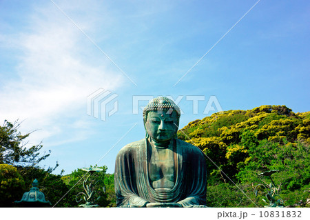 大仏 遠景 鎌倉 大仏 遠景 鎌倉 10831832