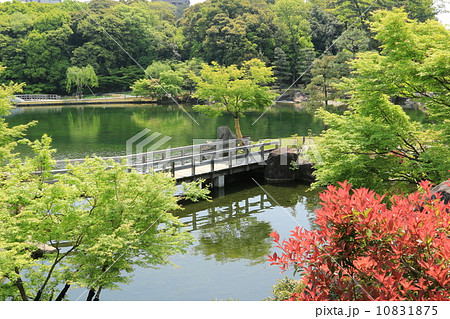 徳川園 徳川園 10831875