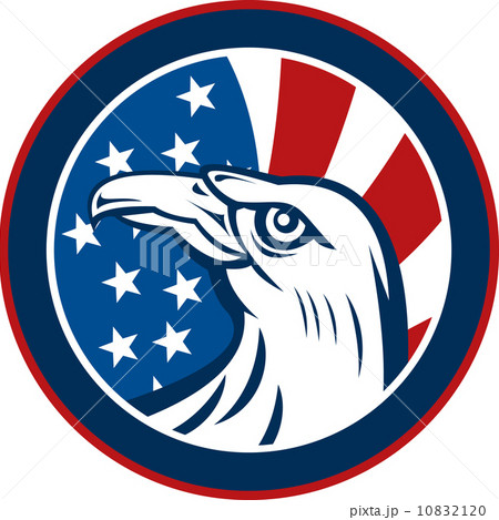 American eagle with stars and stripes flag 10832120
