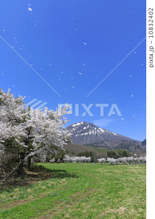 磐梯山と猪苗代町牧場 10832402
