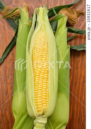 国産浜松産の大粒の朝獲れトウモロコシです。※茹でていません。生の状態です。 国産浜松産の大粒の朝獲れトウモロコシです。※茹でていません。生の状態です。 10832617