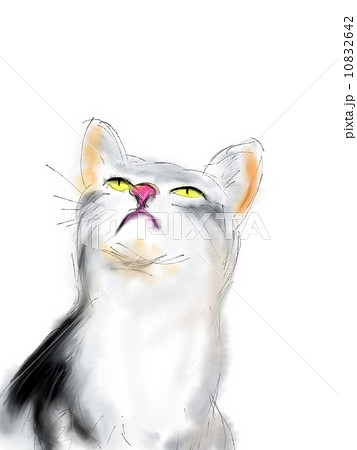 上を向く猫のイラストのイラスト素材