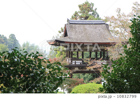 長岳寺 10832799