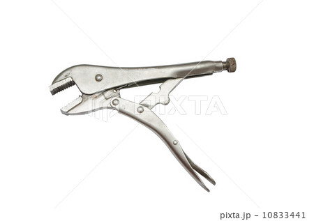 Locking Pliers 10833441