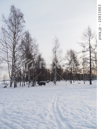 snowy landscape 10833863
