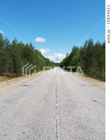 asphalt road in the forest asphalt road in the forest 10834021
