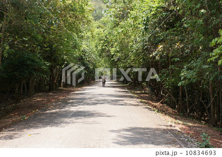 自転車で行く古道 自転車で行く古道 10834693