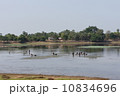 湖の人 10834696