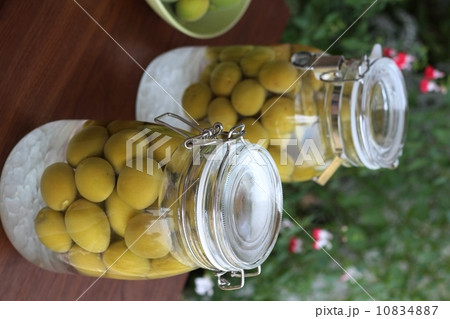 梅酒作り 梅酒作り 10834887