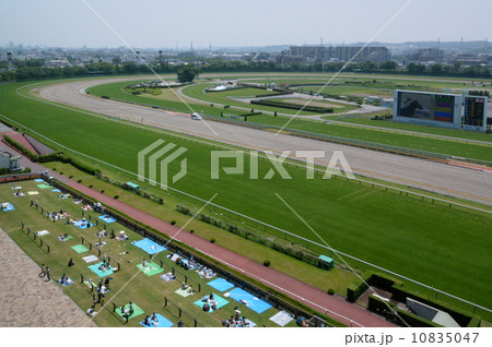 東京競馬場4 東京競馬場4 10835047