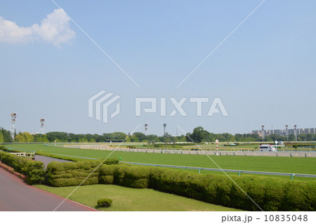 東京競馬場5 東京競馬場5 10835048