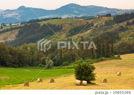 Italian countryside Italian countryside 10835269