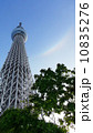スカイツリー（環天頂アーク） 10835276