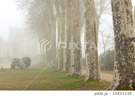 A country French chalet on a foggy day 10835339