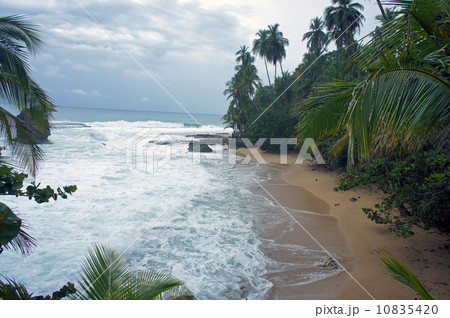impressions from costa rica 10835420