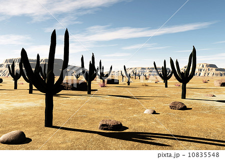 Desert Saguaro Cactus Field 3D artwork 10835548