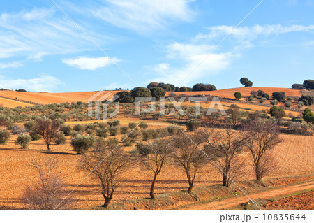 Castilla-La Mancha, Spain at winter 10835644