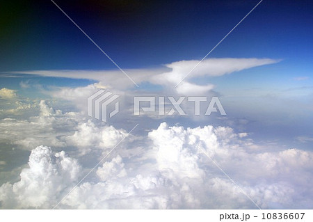夏の太平洋上に発生し発達する雄大積雲と積乱雲 10836607
