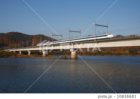 紅葉の吉井川を渡る山陽新幹線0系(復刻塗装) 紅葉の吉井川を渡る山陽新幹線0系(復刻塗装) 10836681