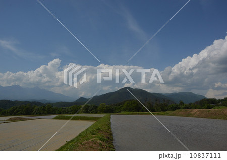 初夏の明野村 初夏の明野村 10837111