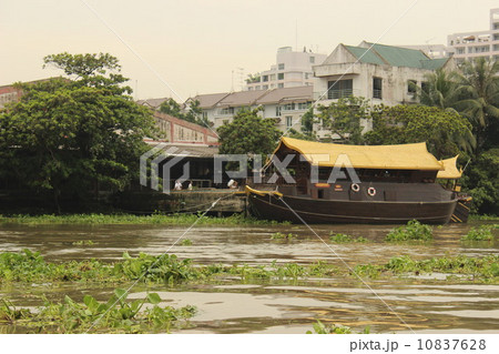 タイの風景　水辺 10837628