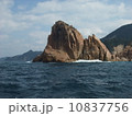 岩山 10837756