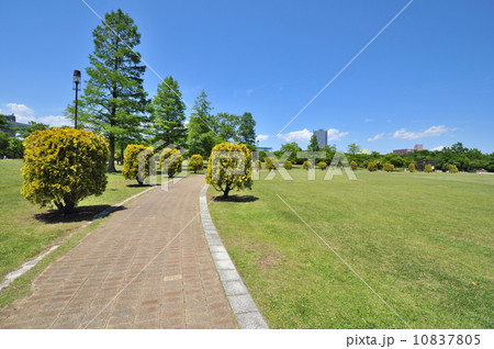 辰巳の森海浜公園 10837805