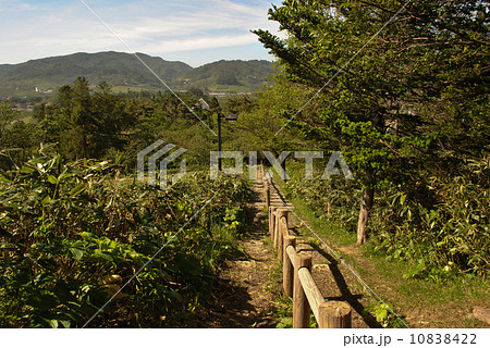余市町円山公園・遊歩道(展望台から下る道) 余市町円山公園・遊歩道(展望台から下る道) 10838422
