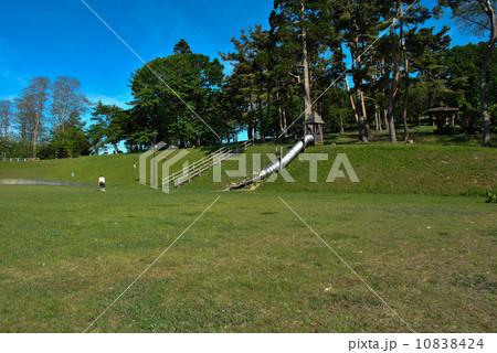 余市町円山公園・芝生の広場 10838424