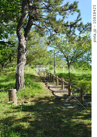 余市町円山公園・遊歩道（展望台へ続く道） 10838425